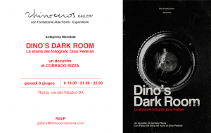 Dino's dark room 